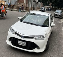 
										Used 2016 Toyota Axio Hybrid X full									